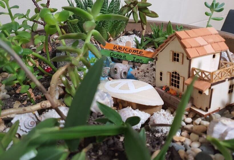 Fotos del hotel Ocean Inn Motel:  4