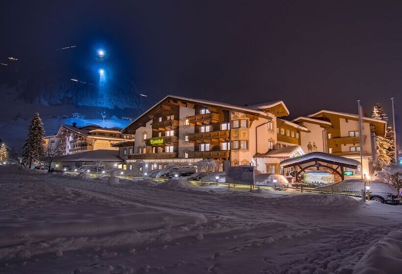 Fotos del hotel Alpenhotel Tirolerhof:  2