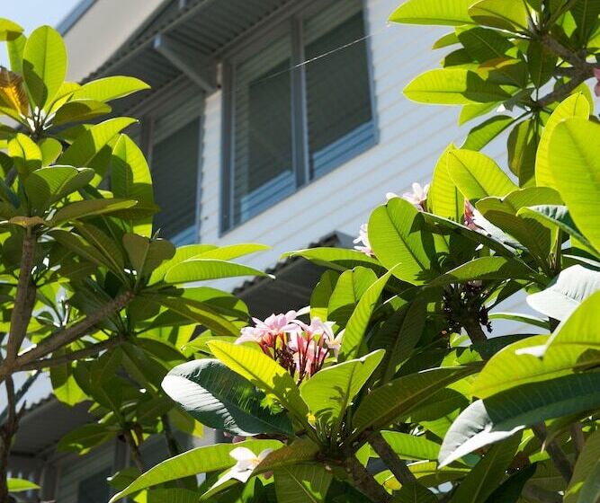 Fotos del hotel Heart  And Gallery Whitsundays:  25