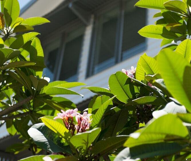 Fotos del hotel Heart  And Gallery Whitsundays:  11