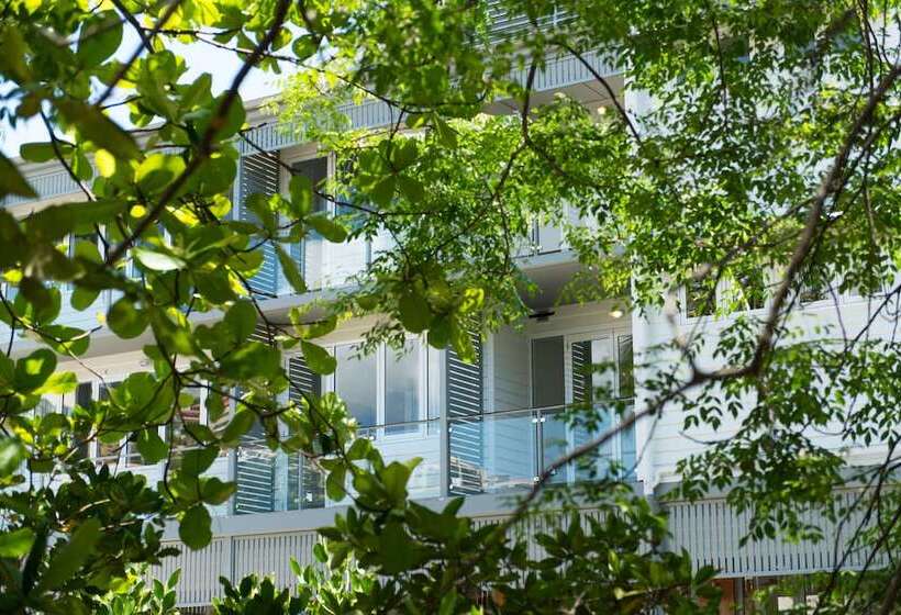 Fotos del hotel Heart  And Gallery Whitsundays:  10