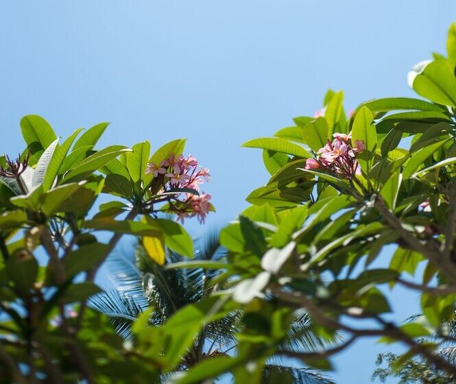 Fotos del hotel Heart  And Gallery Whitsundays:  14