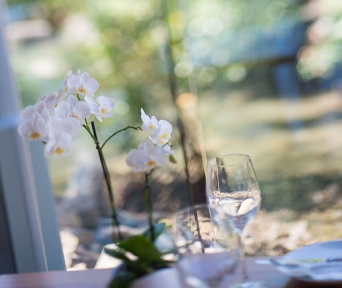 Fotos del hotel Heart  And Gallery Whitsundays:  17