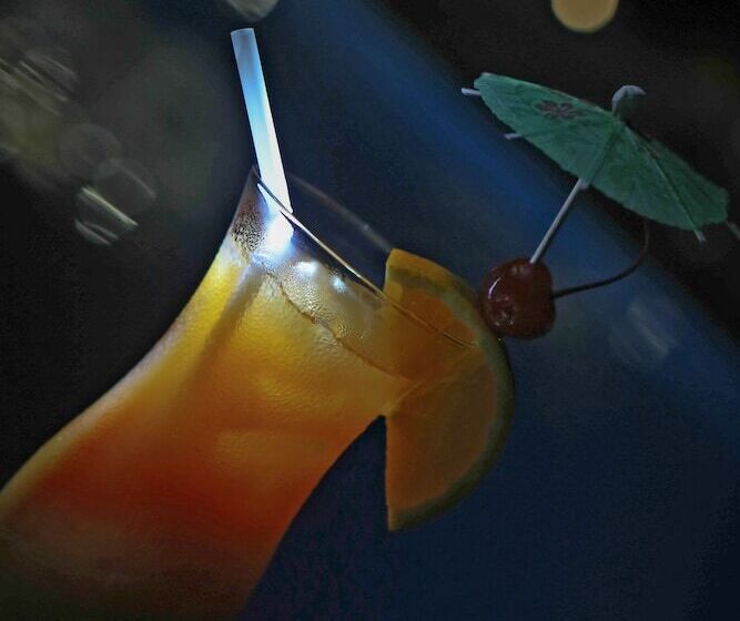 Fotos del hotel Coron Soleil Express:  24