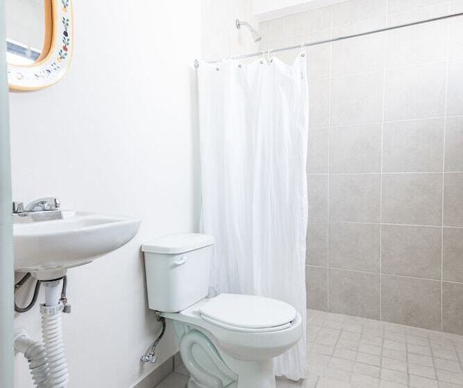 Fotos del hotel Cinco De Mayo:  11