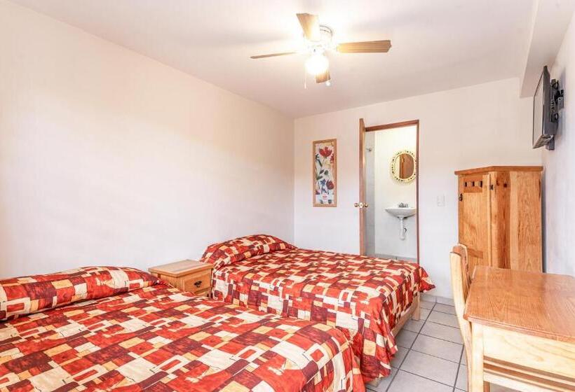 Fotos del hotel Cinco De Mayo:  24