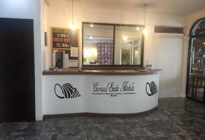 Fotos del hotel Caracol Suite:  8