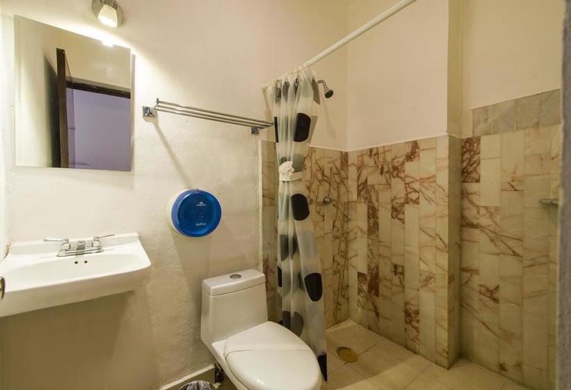 Fotos del hotel Caracol Suite:  6