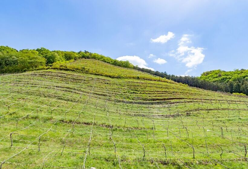 Fotos del hotel Toyoko Inn Tochigi Ashikaga-eki Kita-guchi:  18