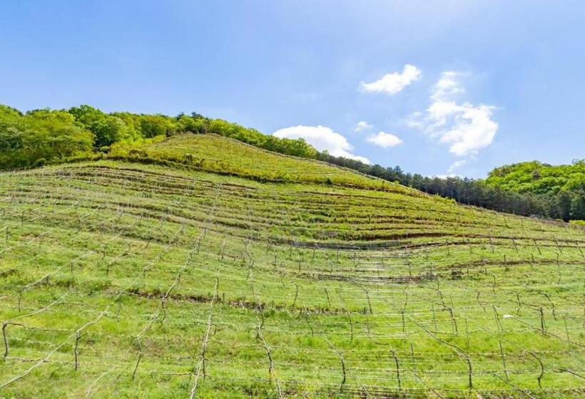 Fotos del hotel Toyoko Inn Tochigi Ashikaga-eki Kita-guchi:  21