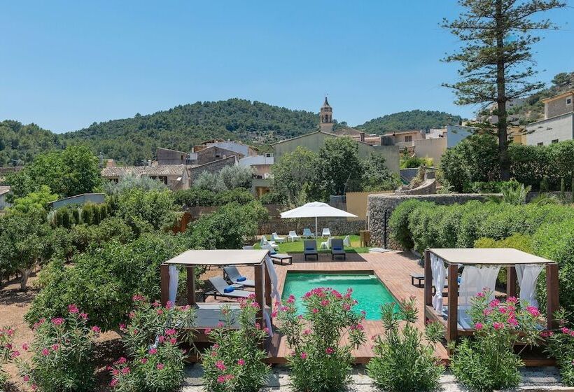 Fotos del hotel Turixant:  7