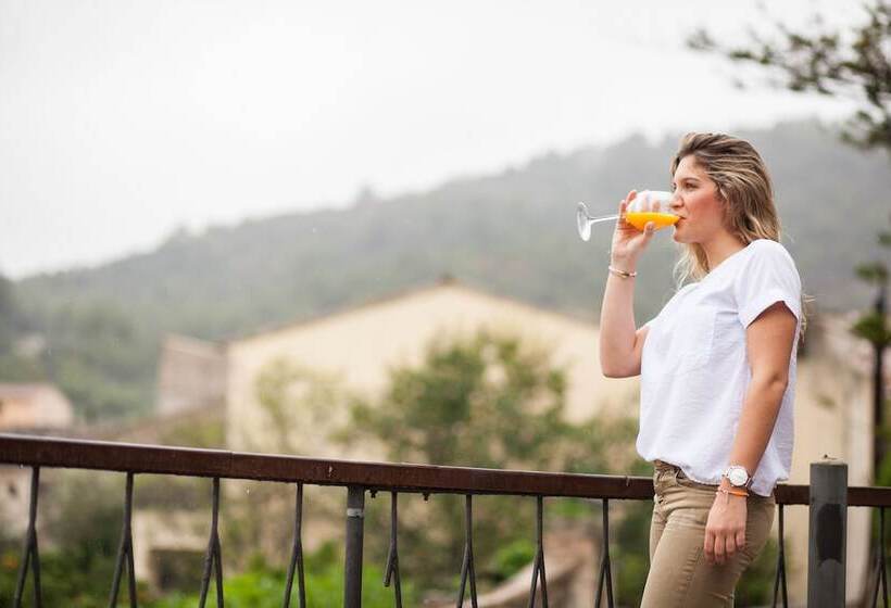 Fotos del hotel Turixant:  10