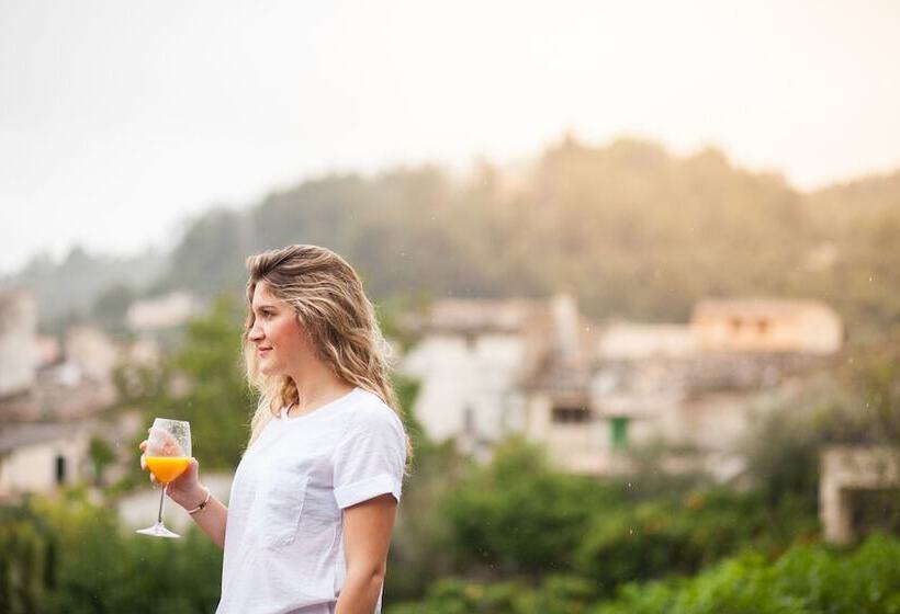 Fotos del hotel Turixant:  4