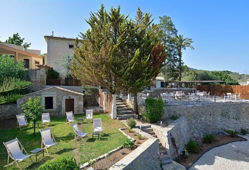 Fotos del hotel Turixant:  21