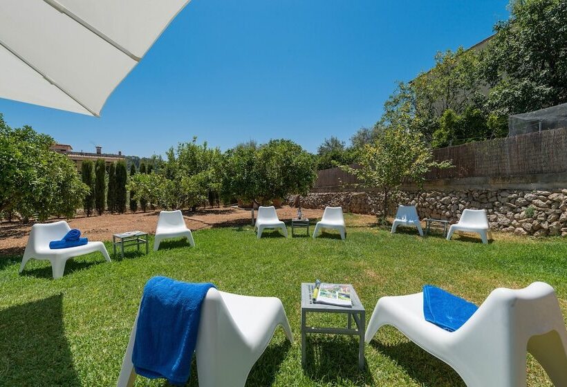 Fotos del hotel Turixant:  14