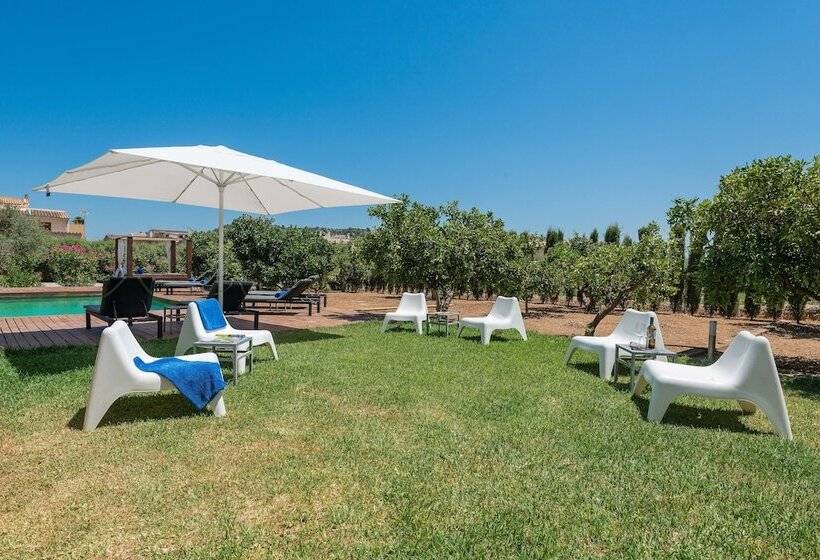 Fotos del hotel Turixant:  20