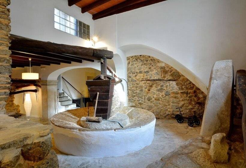 Fotos del hotel Turixant:  15