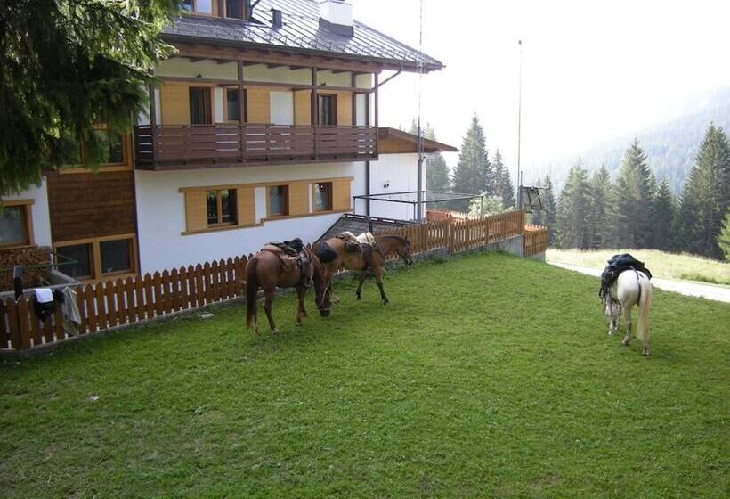 Fotos del hotel Piccolo Pocol:  9