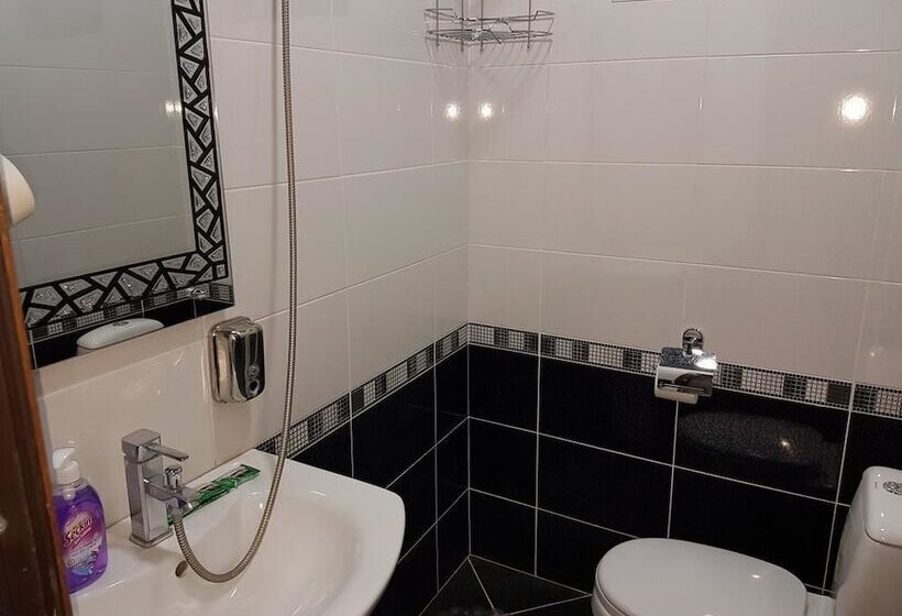 Fotos del hotel Aisi:  5