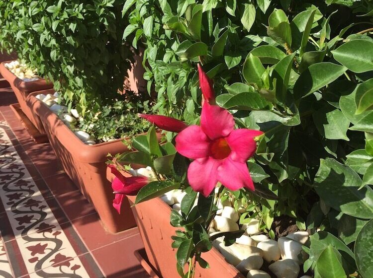 Fotos del hotel Sperveri Boutique:  12