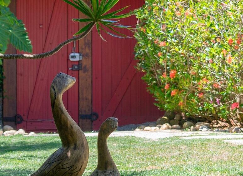 Fotos del hotel Pousada Da Cyssa:  10