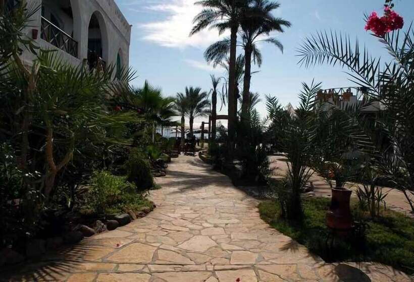 Planet Oasis Resort Dahab