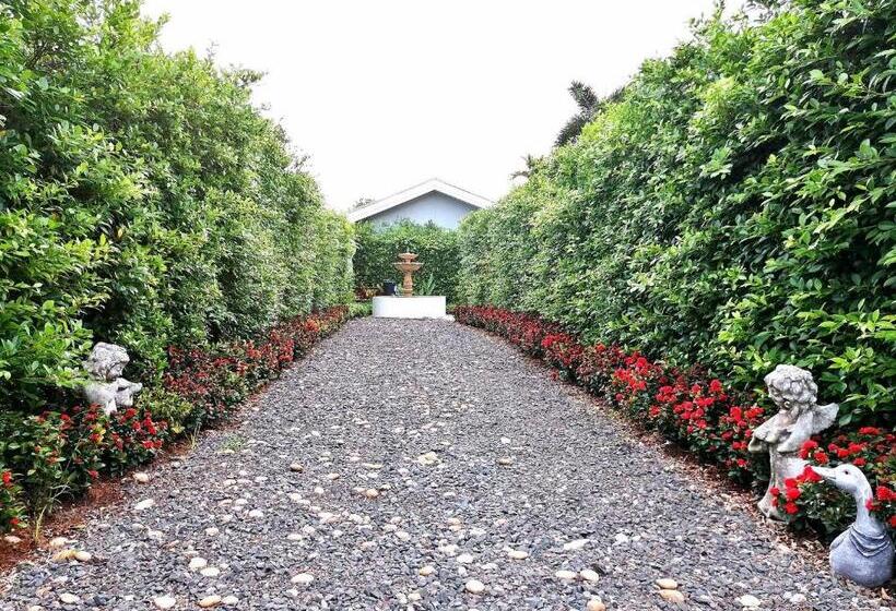 Fotos del hotel 1715 House & Caff Resort Phuket:  15