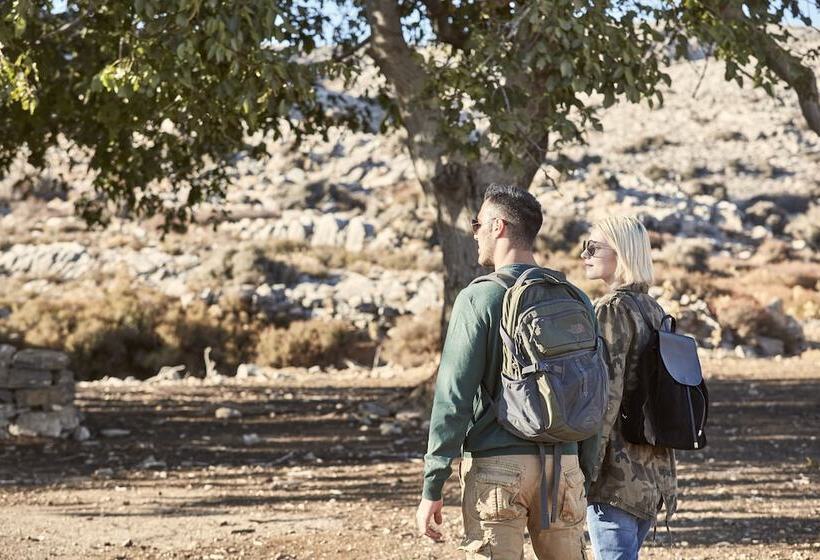 Fotos del hotel Olive Green:  9