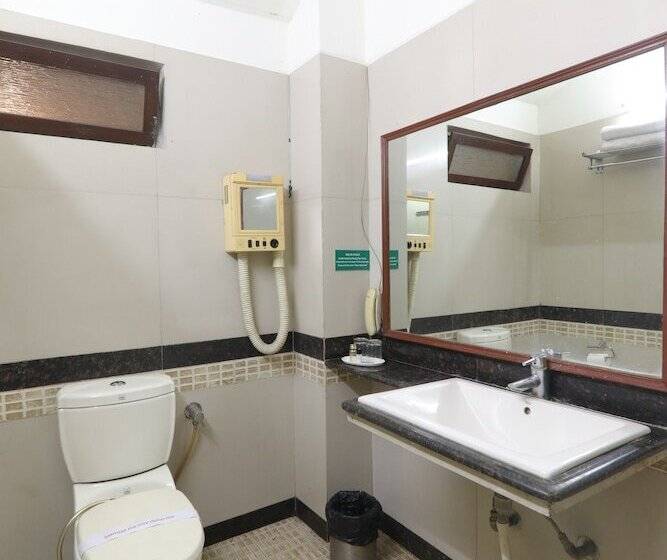 Fotos del hotel Mohan:  4