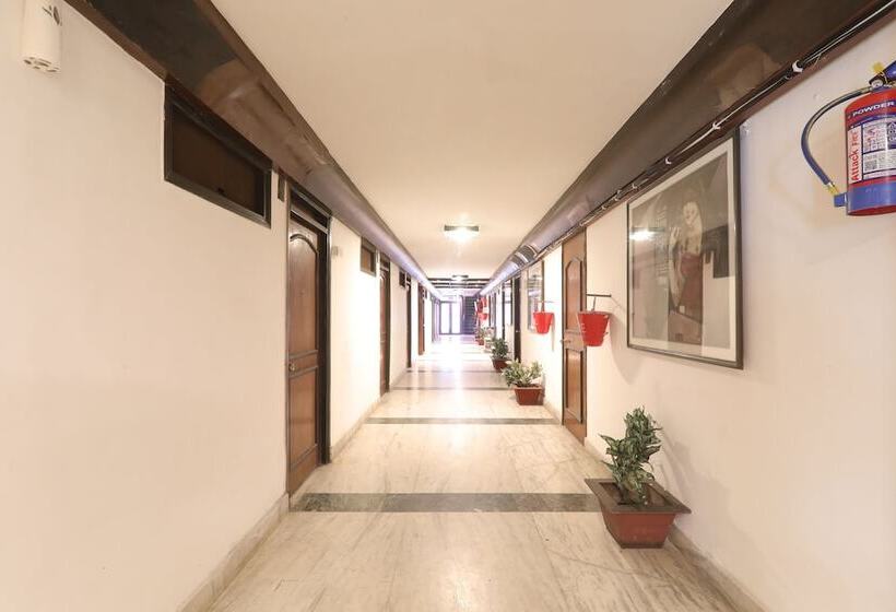 Fotos del hotel Mohan:  18