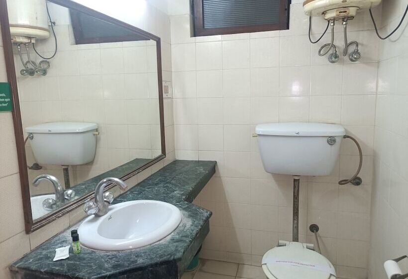 Fotos del hotel Mohan:  14