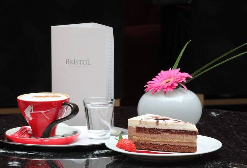 Fotos del hotel Bristol Vila Tereza:  22