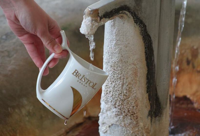 Fotos del hotel Bristol Vila Tereza:  7