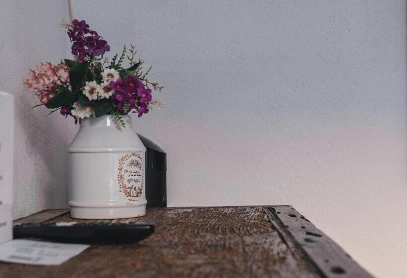 Fotos del hotel Casa Santamaría:  18