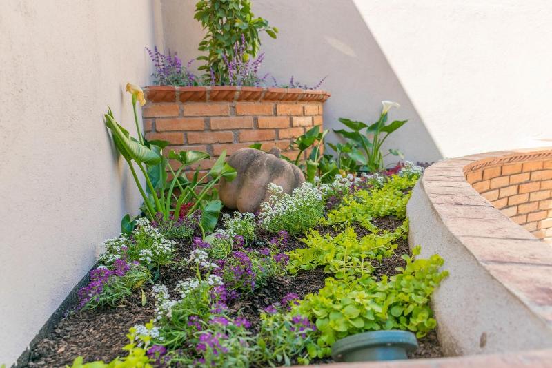 Fotos del hotel Casa Santamaría:  5