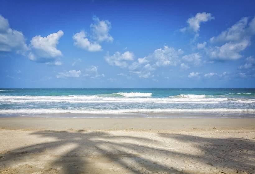 Fotos del hotel Thompson Beach House:  14