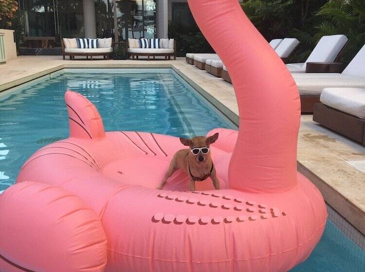 Fotos del hotel Thompson Beach House:  8