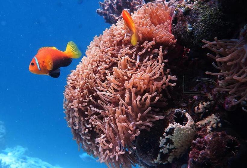 Fotos del hotel Kaani Village & Spa:  7