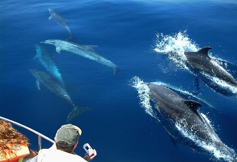 Fotos del hotel Kaani Village & Spa:  20