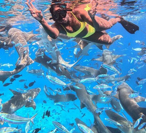 Fotos del hotel Kaani Village & Spa:  25