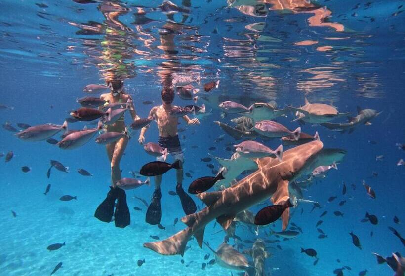 Fotos del hotel Kaani Village & Spa:  21