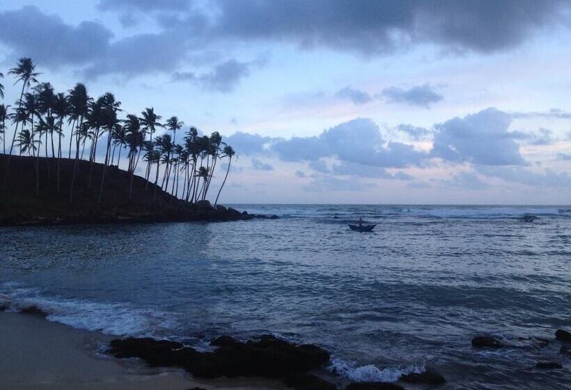 Fotos del hotel Mirissa Seastar:  20