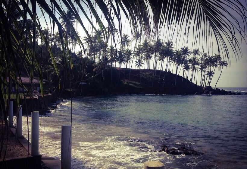 Fotos del hotel Mirissa Seastar:  9