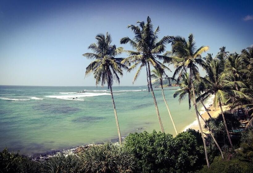 Fotos del hotel Mirissa Seastar:  13