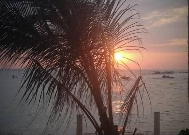 Fotos del hotel Mirissa Seastar:  11