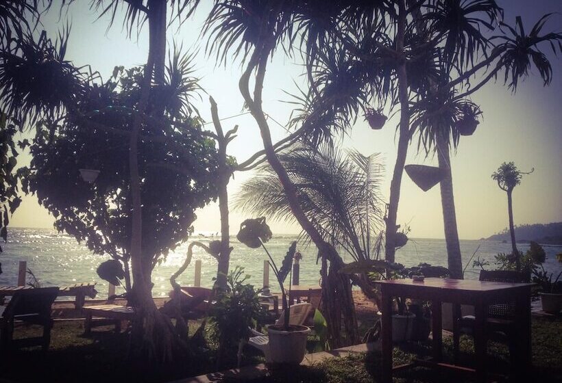 Fotos del hotel Mirissa Seastar:  21