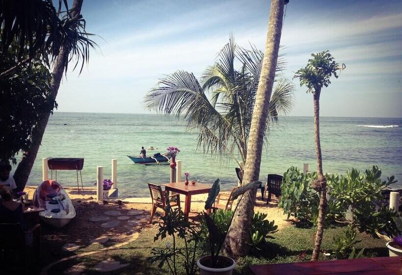 Fotos del hotel Mirissa Seastar:  6