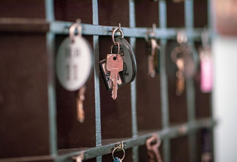 Fotos del hotel Burlamacco:  21