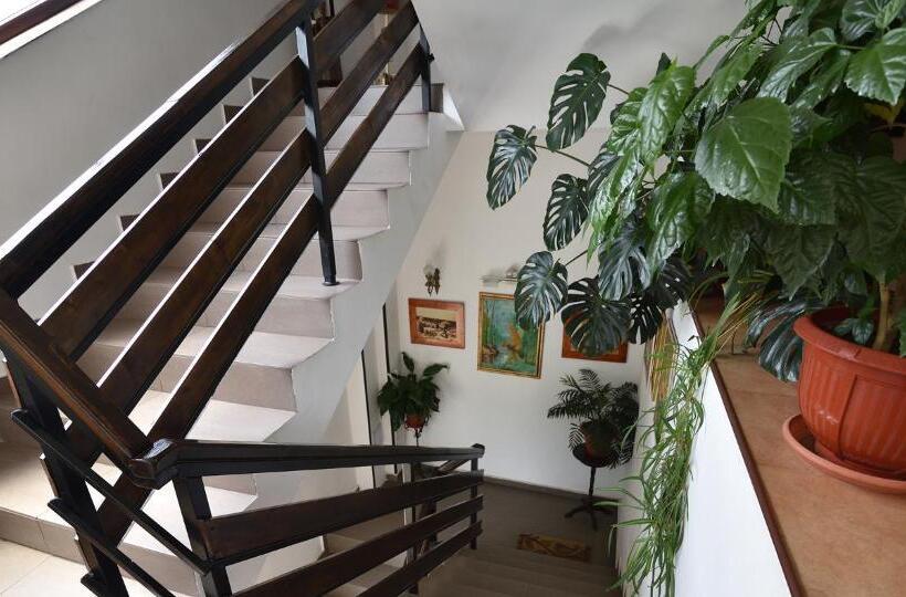 Fotos del hotel Taco:  2