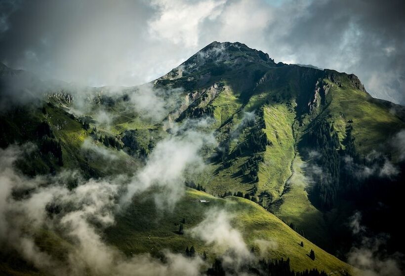 Fotos del hotel Thomsn-alpine Rock:  7